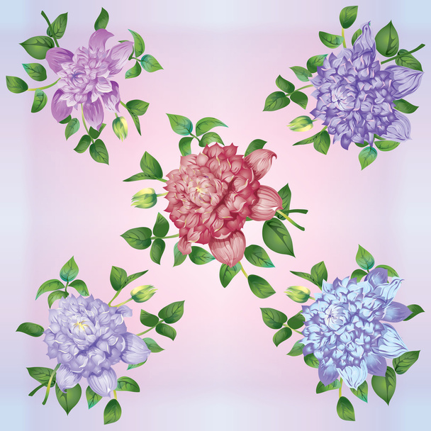 helle Blüten der Clematis - Vektor, Bild