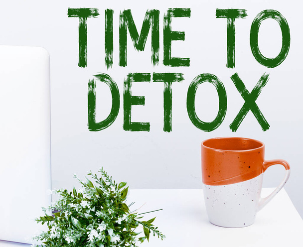 Scrivere il testo Time To Detox, Panoramica aziendale Momento per la dieta Nutrizione salute Trattamento delle dipendenze purificare - Foto, immagini