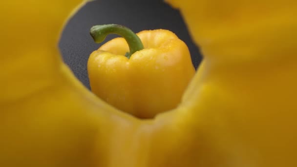 Makro seuranta laukaus tomaatteja ja paprikat. Kameran kaunis liike tomaatteja pitkin paprikoiden läpi. tumma tausta  - Materiaali, video