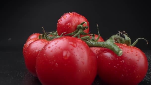 mooie tros tomaten op een zwarte achtergrond. Tomaten, gewassen en sapklaar - Video