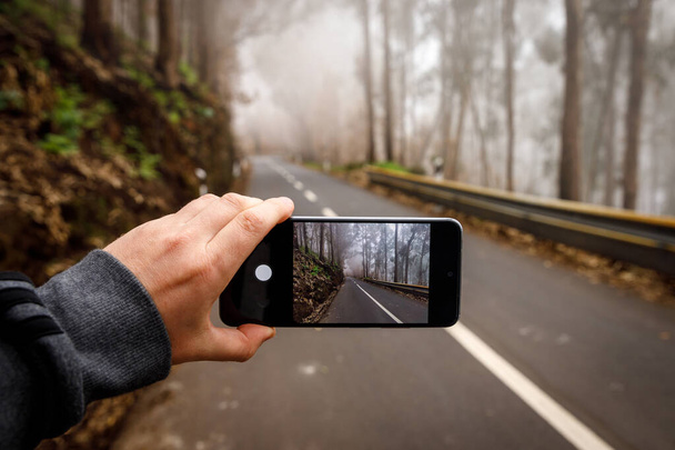 Photographing dangerous foggy asphalt road through the forest - 写真・画像