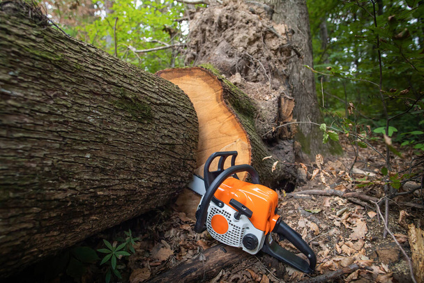  Бензопила рабочего инструмента лежит на бревне в лесу
 - Фото, изображение