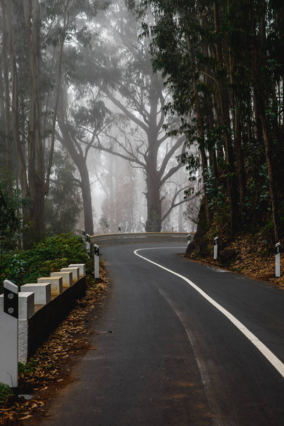 Ορεινή στροφή στο δρόμο συννεφιασμένη ομίχλη - Φωτογραφία, εικόνα
