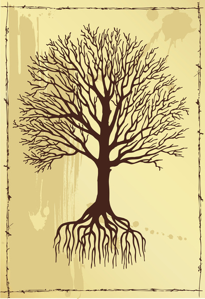 Tree with roots - Vektör, Görsel