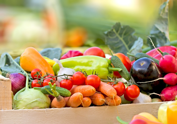 verduras orgánicas frescas - Foto, imagen