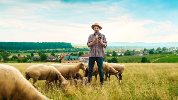 Caucasian handsome man in hat standing in grassland and using smartphone. Outdoors. Good-looking young male shepherd tapping and texting on mobile phone in hands. Gadget for farming. Sheep grazing. - Foto, afbeelding