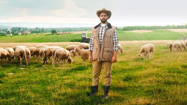 Portrait of handsome Caucasian cheerful man in motley shirt and hat standing in grasland, crossing hands and smiling to camera. Happy male shepherd with sheep flock on background. Herd of lambs. - Foto, Bild