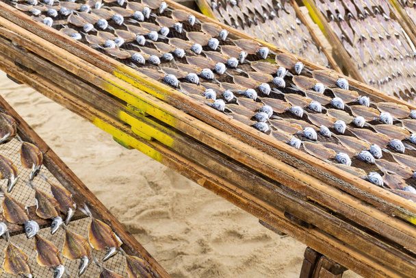 Τα απεντερωμένα ψάρια ξηραίνονται σε μεταλλικό πλέγμα σε φόντο παραλίας - Φωτογραφία, εικόνα