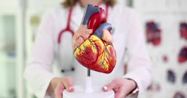 octor cardioloog houdt plastic model van hart close-up. Arteriële hypertensie en hartfalen - Video