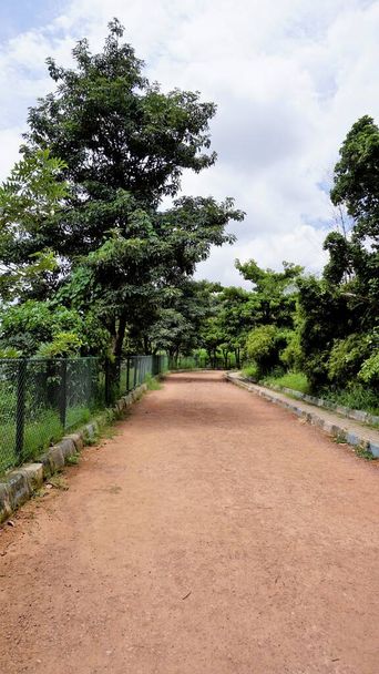 Portrait view of walking lane of Agara lake. Well maintained lakes and Part of Varthur lake series It is 80 acre lake located in Agara. - Photo, Image