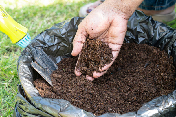 Hand holding peat moss organic matter improve soil for agriculture organic plant growing, ecology concept. - Photo, Image