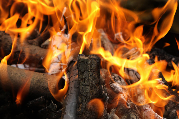 グリルでの火災、ピクニックや夏休み中に自然の中で揚げ肉を調理するためのグリル。背景レストランやカフェの炎とバーベキュー広告のためのチャコールたき火。メニューの背景 - 写真・画像