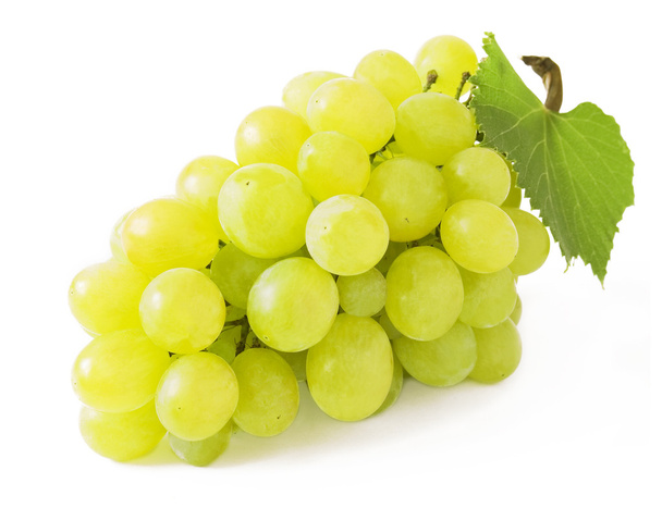 Rama de uvas primer plano aislado sobre fondo blanco
 - Foto, Imagen