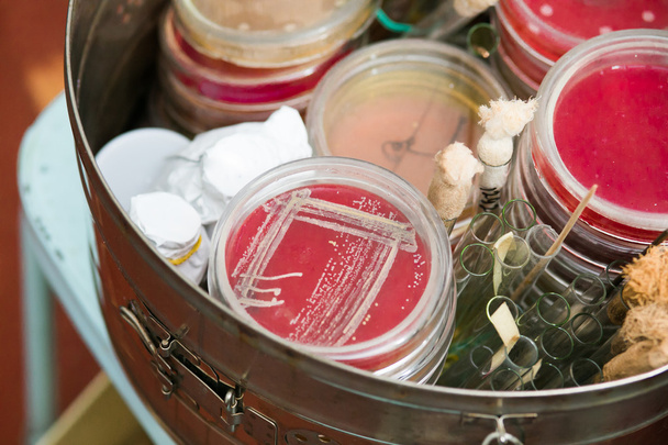 Petri dishes and test tubes - Photo, Image