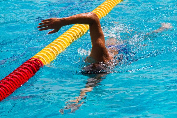 Swimming - Stock Image - Photo, Image