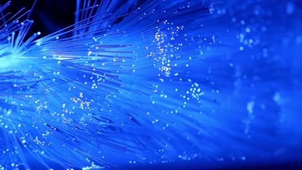 Luces azules de Navidad de la fibra
 - Imágenes, Vídeo
