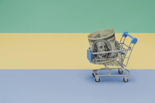 Metal shopping basket with big dollar money banknote on the national flag of gabon background. consumer basket concept. 3d illustration - Фото, зображення