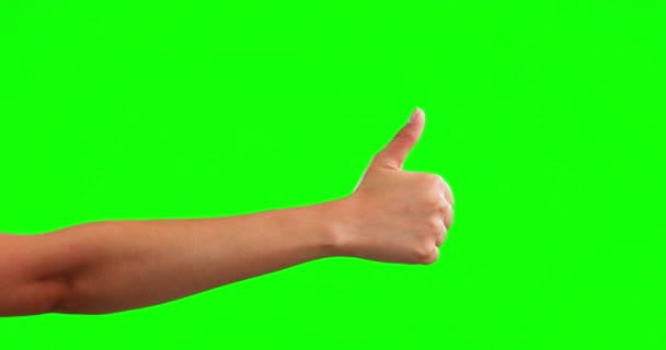 Рука с поднятыми вверх большими пальцами на студийном фоне или зеленом экране за победу, успех и макет благодарности. Вывеска победителя или эмодзи шоу да, как и подписаться на рекламу сделки или поблагодарить вас. - Кадры, видео