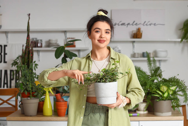 Νεαρή γυναίκα με πράσινο φυτό εσωτερικού χώρου στην κουζίνα - Φωτογραφία, εικόνα