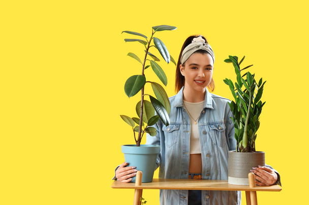 Jonge vrouw en plank met groene kamerplanten op gele achtergrond - Foto, afbeelding