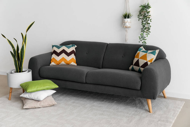 Cozy black sofa with cushions and houseplants near white wall - Φωτογραφία, εικόνα