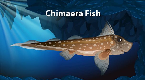 Chimaera Fish Vector Design illustration - Wektor, obraz