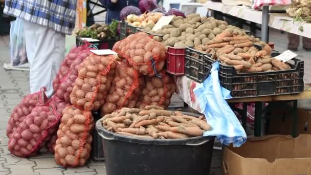 Helyi mezőgazdasági termelőnek zöldségpiac - Felvétel, videó