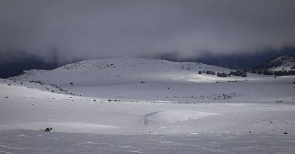 Зимовий туризм у горах Вітоші.. - Фото, зображення