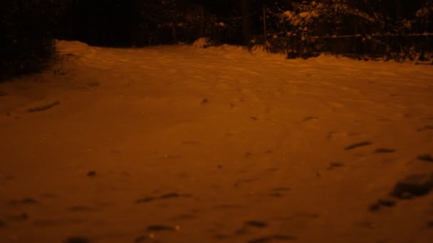 Férfi sétált a hó éjjel - Felvétel, videó