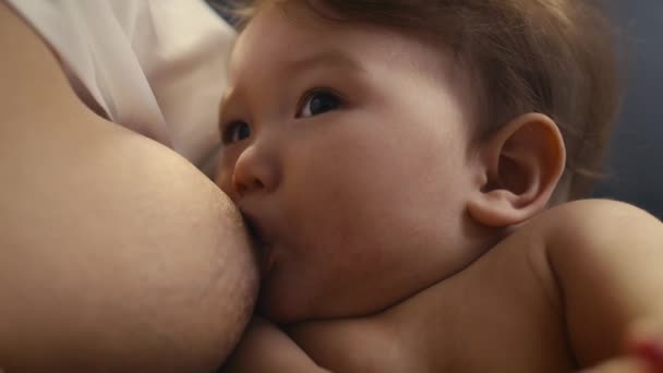 Надзвичайно близько азіатського малюка, якого годувала мати. Постріл з камери RED гелію 8K.   - Кадри, відео