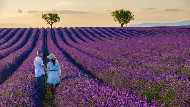 Provence, Lavender field France, Valensole Plateau, a colorful field of Lavender Valensole Plateau, Provence, Southern France Couple men and women on vacation at the Provence - Fotoğraf, Görsel
