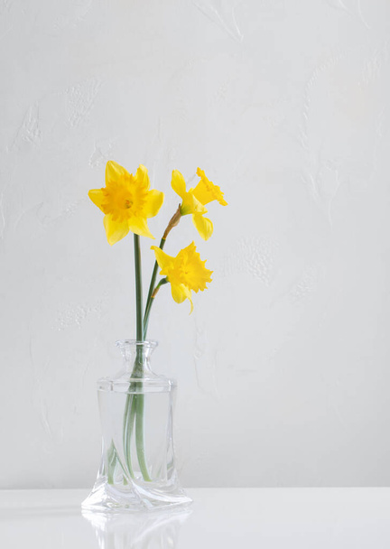yellow spring daffodils in glass vase on white background - Фото, изображение