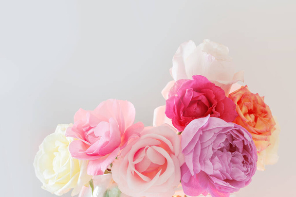 beautiful roses on white background close up - Foto, Imagem