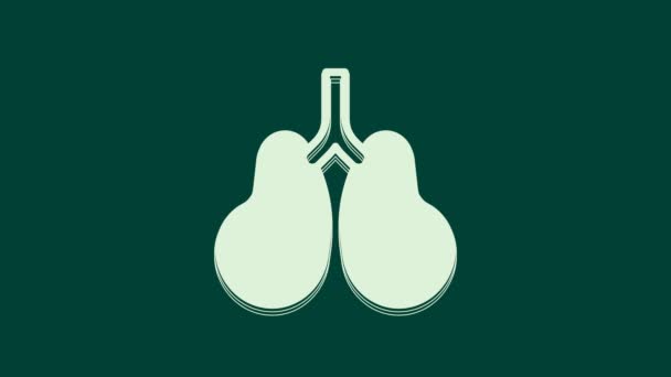 Icona dei polmoni bianchi isolata su sfondo verde. Animazione grafica 4K Video motion. - Filmati, video