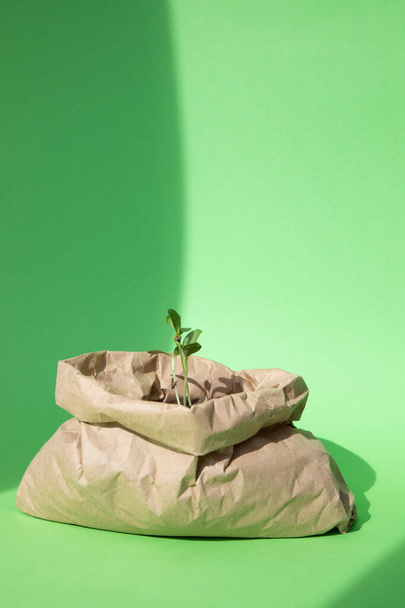 Pojęcie ogrodnictwa. Sadzenie sadzonek warzyw. Mała zielona roślina w brązowej papierowej torbie z glebą na zielonym tle. Widok z przodu - Zdjęcie, obraz