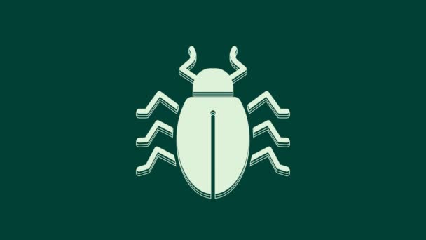 緑の背景に隔離された白いコロラド甲虫のアイコン。4Kビデオモーショングラフィックアニメーション. - 映像、動画