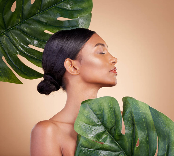 Woman, face and leaf for natural skincare cosmetics, self love and care against studio background. Female cosmetic beauty holding leafy green plant for organic facial or sustainable eco spa treatment. - 写真・画像