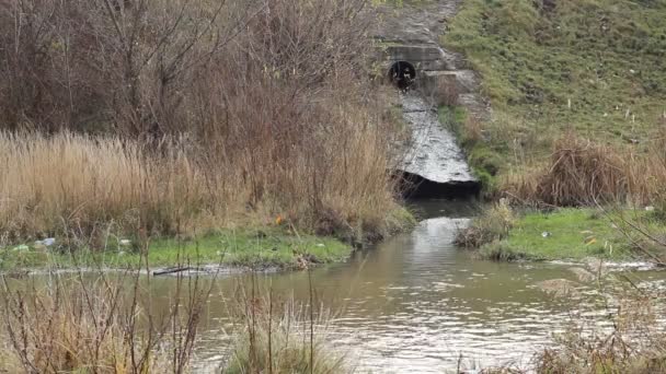 River Stream Drainage Pipe - Footage, Video