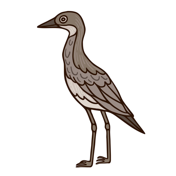 Bush stone curlew Aussie bird color vector character. Side view figure. Full body wild animal on white. Simple cartoon style illustration - Вектор, зображення
