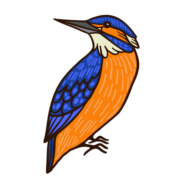 King fisher Aussie bird color vector character. Side view figure. Full body Australian creature on white. Simple cartoon style illustration - Wektor, obraz