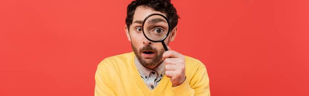 surprised man in yellow long sleeve jumper holding magnifying glass on red coral background, banner  - Photo, Image