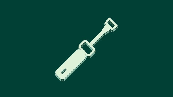 White Screwdriver icon isolated on green background. Service tool symbol. 4K Video motion graphic animation. - Footage, Video