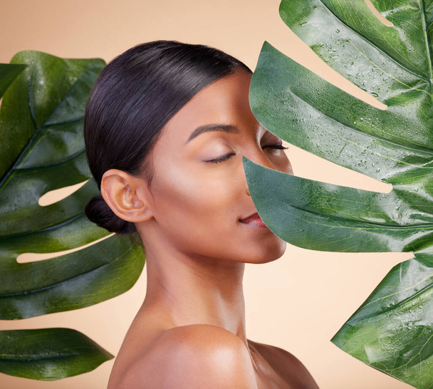 天然のスキンケア化粧品のための女性、顔や葉、自己愛とスタジオの背景に対するケア。有機顔や持続可能なエコスパの治療のための緑葉植物を保持する女性化粧品の美しさ. - 写真・画像