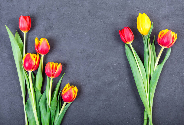 beautiful tulips on grey background - Photo, Image