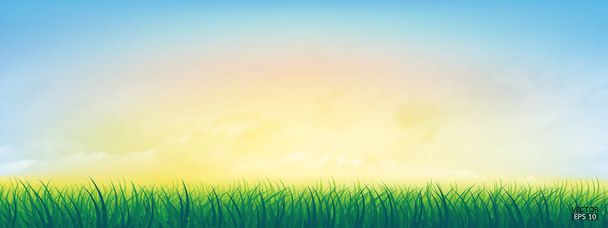 Fresca hierba verde primavera bajo hermoso cielo amarillo a azul. Fondo de la naturaleza con hierba verde y cielo colorido. Ilustración vectorial. - Vector, imagen