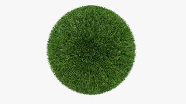 zielony trawnik koło na białym tle, renderowanie 3d - Zdjęcie, obraz