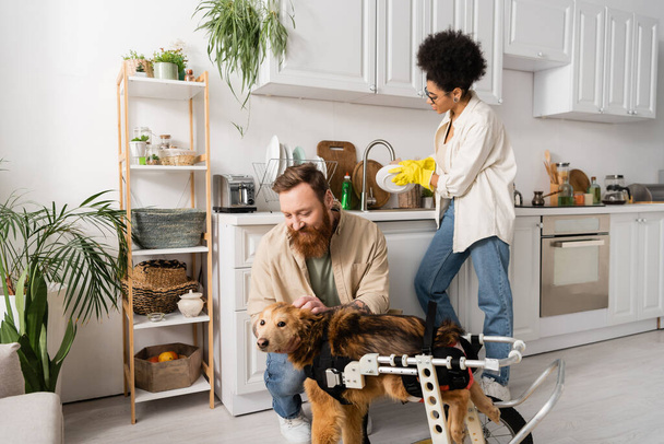 Bearded man petting disabled dog while african american girlfriend washing plate in kitchen  - Photo, Image