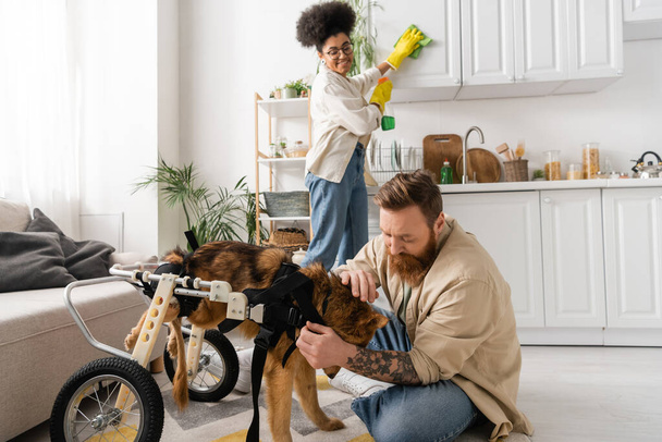 Tattooed man petting disabled dog on wheelchair near blurred african american girlfriend cleaning kitchen at home  - Photo, Image