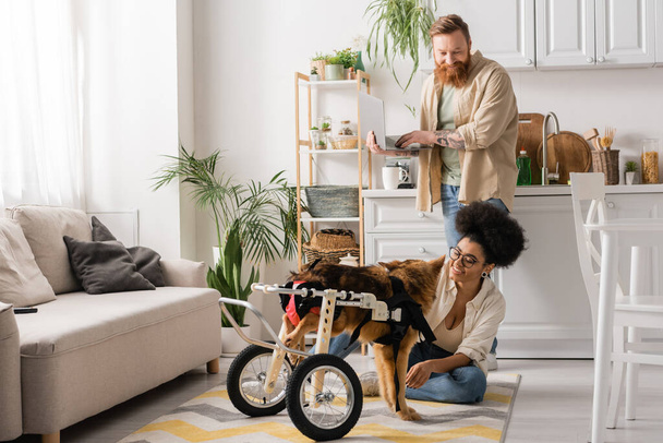 Bearded man using laptop near african american girlfriend with disabled dog at home  - Fotoğraf, Görsel