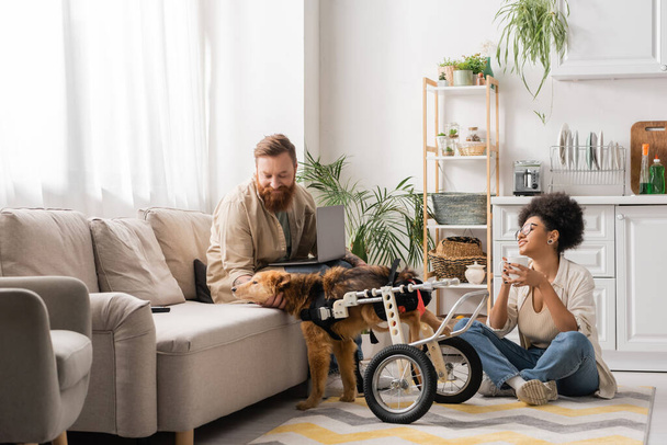 Lächelndes multiethnisches Paar mit Laptop und Kaffee im Gespräch in der Nähe eines behinderten Hundes zu Hause  - Foto, Bild